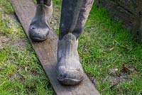 Laying a plank to walk across a sodden lawn, preventing damage to lawn.