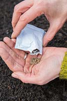 Emptying seeds into hand