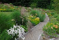 Path running through borders of Coreopsis 'Zagreb', Erigeron 'Sommerneuschnee' and Calamagrostis