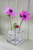 Floral arrangement of Anemone 'Harmony Orchid' in heart shaped container
