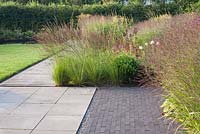 Molinia caerulea 'Edith Dudszus', Panicum virgatum 'Shenandoah' in mixed border by paved area