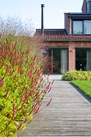 Boardwalk to the patio. Persicaria amplexicaulis 'Taurus', Panicum virgatum 'Shenandoah'. 