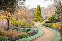 Winter Garden with Acer griseum, various cornus and rubus and Chamaecyparis lawsoniana 'Winston Churchill' as a focal point.