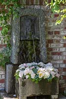 Water spouting on a peony wreath in granite trough next to brick stone wall. Varieties are 'Jan van Leuwen', 'Lady Alexander Duff' and 'Mme. Claude Tain'