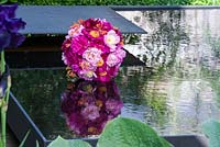 Peony sphere with honeysuckle  on granite water surface of a modern fountain, varieties are 'Karl Rosenfeld', 'Auguste Dessert', 'Bowl of Beauty' and 'Bunker Hill'