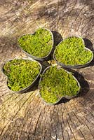 Heart shaped containers planted with moss, positioned in shape of a clover