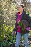 Woman carrying turf roll for resurfacing lawn