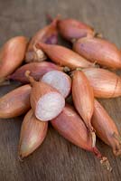 Shallot 'Longor' - still life of harvested shallots - on halved 