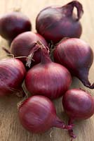 Onion 'Garnet'