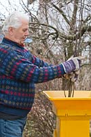 Man using shredder to shred branches.