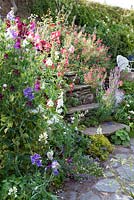 Steps surrounded by lots of annuals.