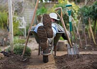 Gardener resting in a wheelbarrow after digging the vegetable garden