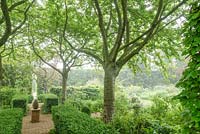 Misty garden in May with formal box hedging brick paths, Cherry trees. Hardwicke House, Fen Ditton