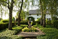 Enclosed shady area under mature birch trees Betula pendula with decorative urn in centre. Vinca minor, Alchemilla mollis. De Carishof