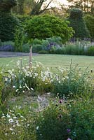 Dawn light on the gravel garden in front of the house with oxe-eye daisies. Narborough Hall Gardens, Norfolk
