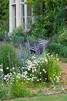 The gravel garden in front of the hall with bench and oxe-eye daisies. Narborough Hall Gardens, Norfolk