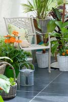 Conservatory with metal chair and various containers planted with herbs and gerberas