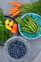 Harvested beans, carrots, pepper, lemon, herbs, blueberry 'Duke' and chilli peppers 