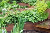 Pebble lined water feature with rusted metal border. Hosta hyacinthina. Garden: A Garden for First Touch at St George's. Designer: Patrick Collins. Sponsors: St George's Hospital Trust, Tendercare, Landscape Associates.