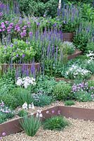 Steps softened with alpines and perennials.  - RHS Chelsea Flower Show 2014. 'First Touch' Garden