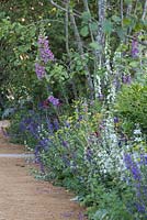 Informal border with pastel shades. RHS Chelsea Flower Show 2014. The BrandAlley Garden