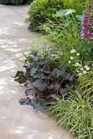 Border planting of Heuchera micrantha 'Palace Purple', Carex oshimensis 'Evergold' and Calamagrostis a acutiflora 'Karl Foerster'. Hope on the Horizon. 