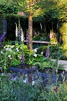 Water filled containers in shady garden. Hosta, digitalis, Zantedeschia and ferns - bench in background 