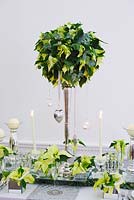 Christmas table setting in white and lime green.  Candles and Poinsettia 'Christmas feelings white' 