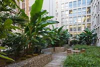 Roof garden, Saint Dominique, Paris 
