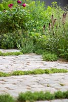 Path planted with rows of Thymus serpyllum 'Album' and border of Chamaemelum nobile 'Treneague' and Lysimachia atropurpurea 'Beaujolais'. No Man's Land: ABF The Soldiers' Charity Garden. Gold medal, RHS Chelsea Flower Show 2014. 