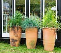 Containers planted with grasses - Festuca Glauca, Millium Effusum Aureum 