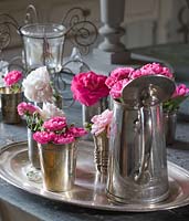 Tray of roses in silverware - Rosa 'Gruss an Aachen, 'Belle de Remalard', 'Felicia', 'Henri Martin' and 'Complicata'. Les Jardins de Roquelin, Loire Valley, France