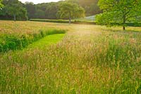 The meadow with mown path. Gipsy House, Buckinghamshire