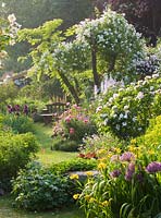 Allium christophii, Iris 'Roy Davidson', Rosa 'Natalie' and Rosa 'Belle Helene'. Andre Eve Garden, France