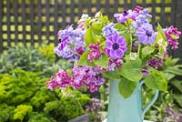 Display of flowers in a jug. Syringa vulgaris, Anemone coronaria, Hyacinthoides non-scripta, Lunaria annua alba 'White Honesty'