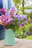 Woman arranging display of flowers in a jug. Syringa vulgaris, Anemone coronaria, Hyacinthoides non-scripta, Lunaria annua alba 'White Honesty'