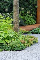 Planting combination of Rodgersia, Alchemilla erythropoda, Epimedium x perralchicum 'Frohnleiten', Gillenia trifoliate and Osmunda regalis. RBC Waterscape Garden.