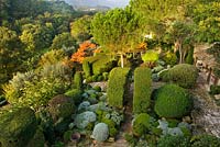 View from house to terrace with clipped topiary, Santolina and stags horn sumach (Rhus typhina) with countryside beyond.  