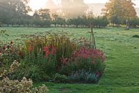 Dawn light on border with penstemons and crocosmia with countryside beyond. Waterperry Gardens, Oxfordshire