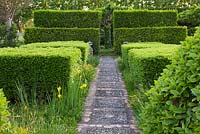 Pebble path between clipped hedges 