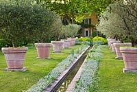 View to the back of the house with water rill surrounded by Stachys Lanata and rows for terracotta containers planted with olive trees 