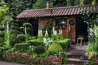 The Topiarist's Garden. View of a brick house surrounded by clipped topiary:  Buxus sempervirens  and Taxus and white flowers, Campanula persicifolia, Lupinus and Roses. 