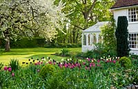 White conservatory beside the house with lawn and border full of tulips in the foreground