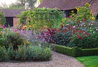 Gravel path with box edged beds with Verbena bonariensis, Helianthus annus, Amaranthus 'Velvet Curtains'. Ulting Wick, Essex
