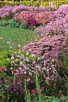 Autumn border in pink with Dahlia 'Princess Park', Aster 'Jenny', Chrysanthemum 'Clara Curtis', Sedum 'Autumn Joy' and Gaura lindheimeri. Ulting Wick, Essex