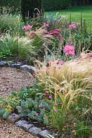 The front garden in autumn with stipa tenuissima and nerines. Ulting Wick, Essex