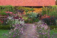 View along brick path with verbena bonariensis and gaura linheimeri, box edged borders with dahlias, pennisetum villosum and melianthus major. Ulting Wick, Essex