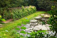 Pool with pergola walkway. Painswick Rococo Garden, Gloucestershire 