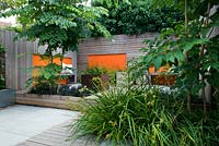 Modern contemporary garden in Brighton with decking, orange panels on walls, Ophiopogon and Aralia. 