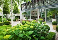 Glass pavilion room, Betula utilis 'jacquemontii' and Hydrangea 'Annabelle' - The Glass House, Petersham - Architects Terry Farrell Partners - Garden design by Sallis Chandler 